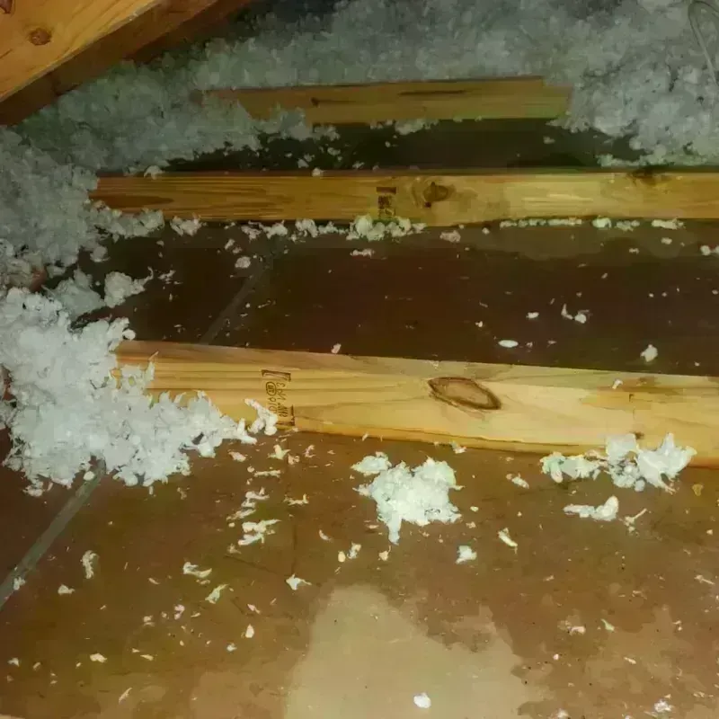 Attic Water Damage in Coloma, MI