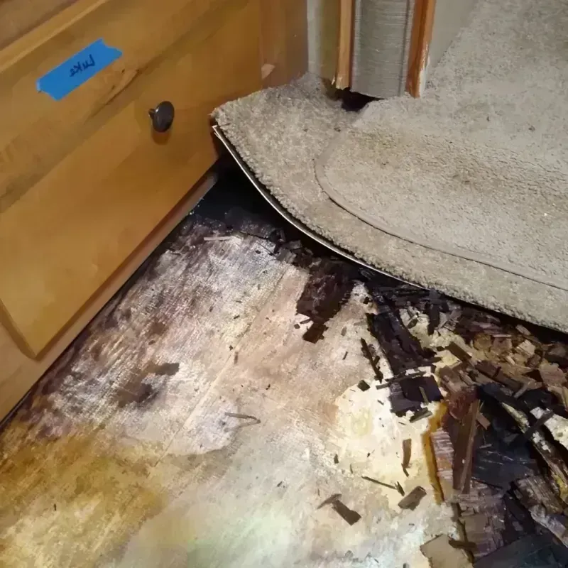 Wood Floor Water Damage in Coloma, MI